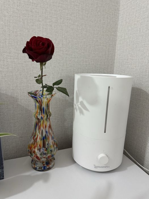 Увлажнитель воздуха