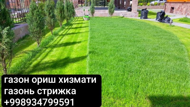 Газон ориш хизмати