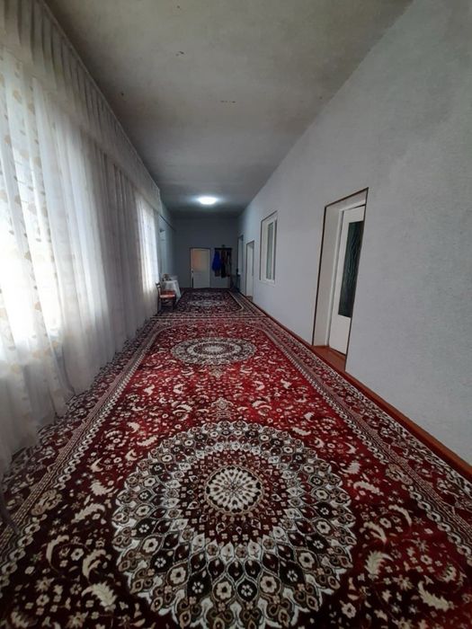 Уй сотиалади барданкулда