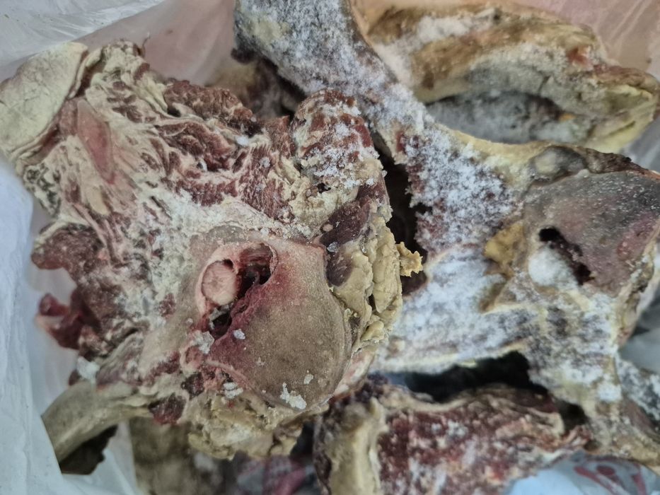 мясо для животных