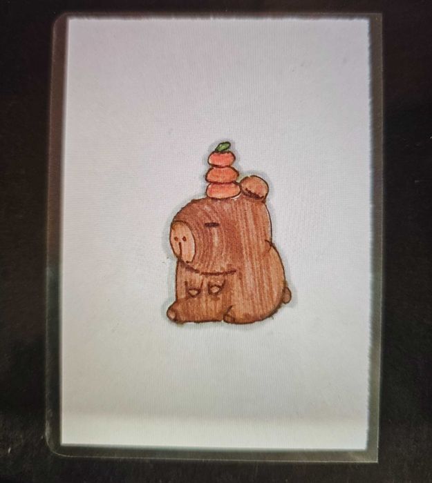 Ламинирани колекционерски карти с картинки