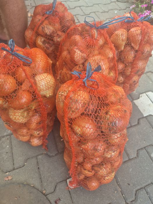 Ceapa de vanzare