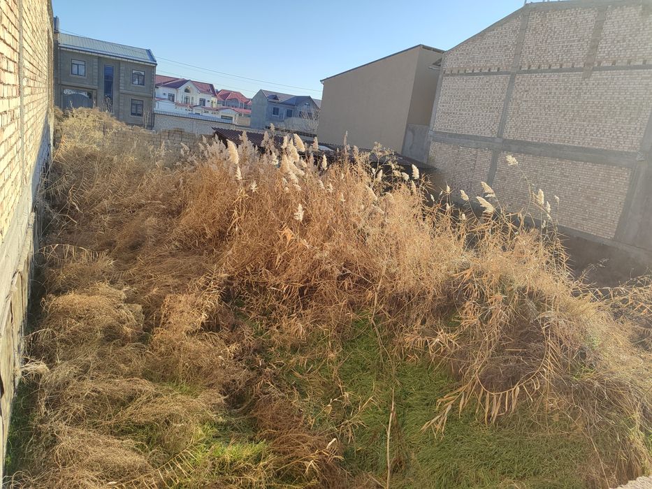 Мехнат. кизгалдок махалада битонкадан 700 метр кирганда