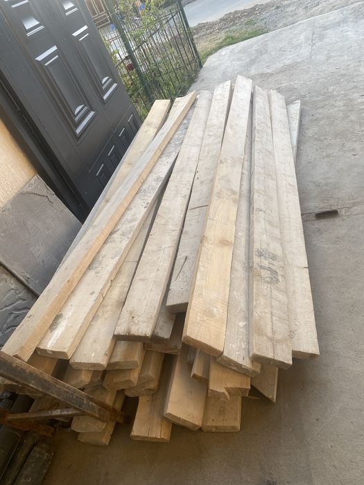 Леса арендага (Xavoza ijaraga)