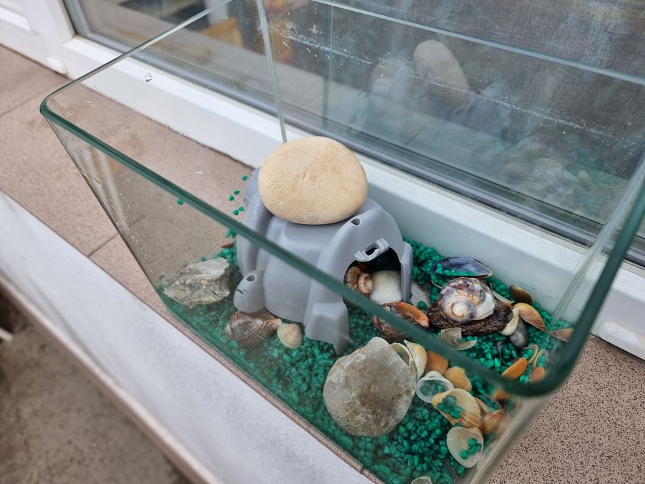 Acvariu pesti /  broscute