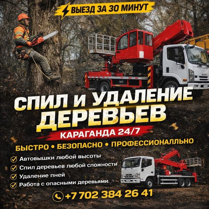 Профессиональный спил деревьев