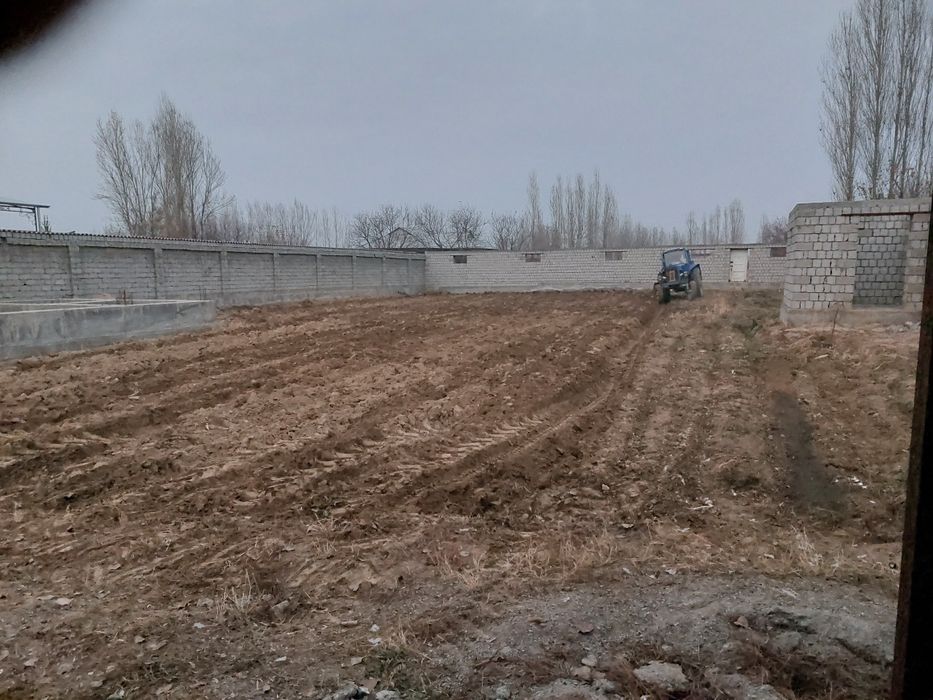 Янгийулда 10 сотих экин ер арендага берилади