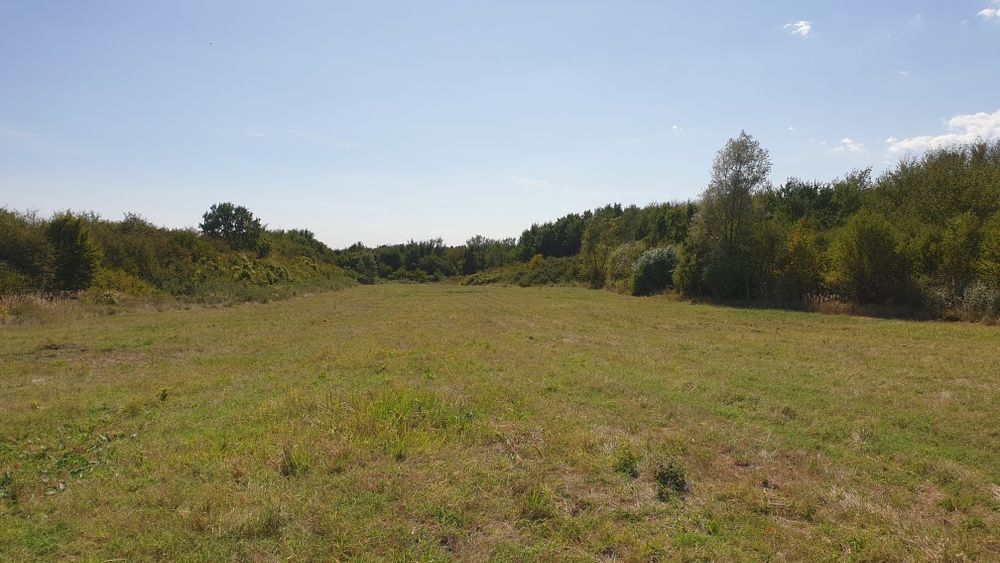 Teren  Extravilan ,Vita de  vie /Comuma Plopu, Judetul Prahova