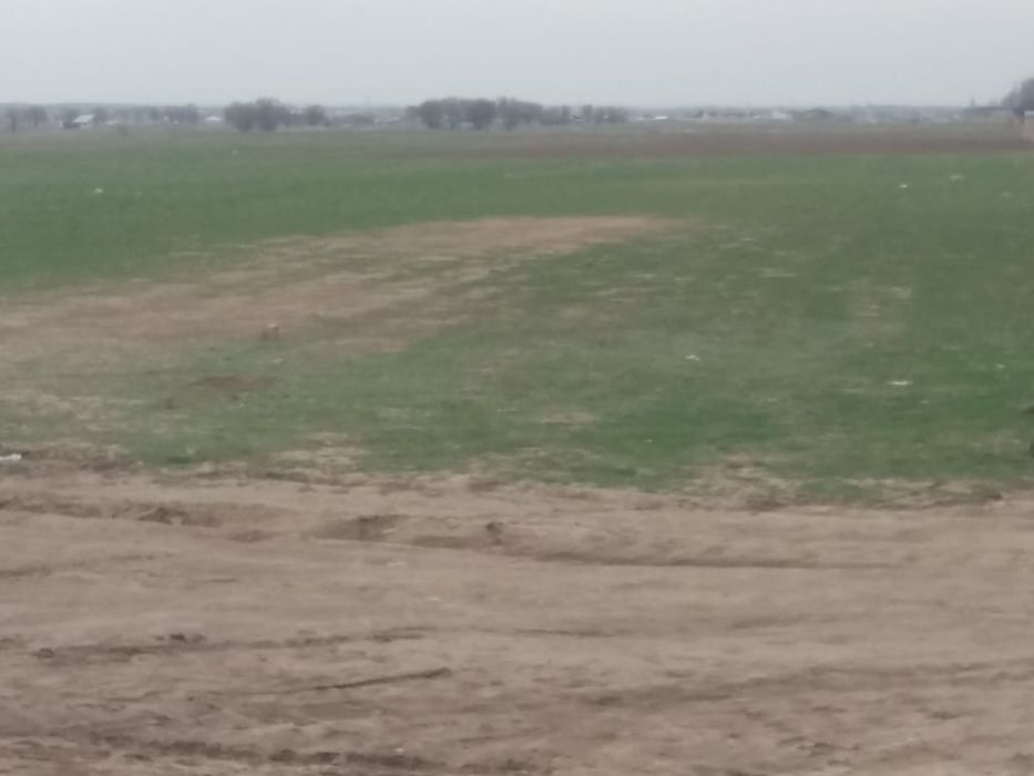 Продам  ух гектаров 5