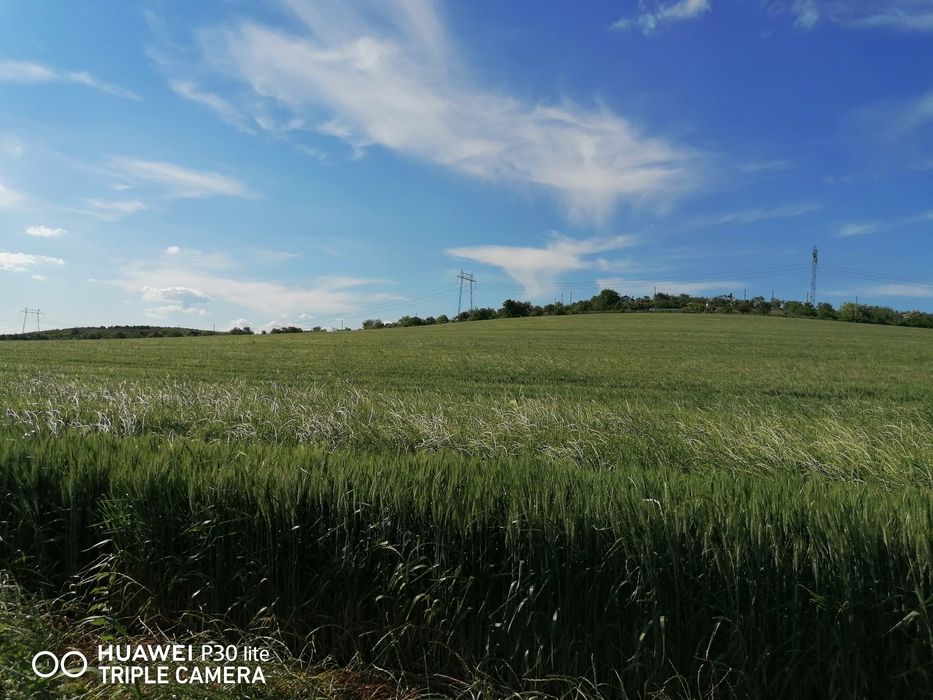 Продава се Парцел в Българово - 3000 кв.м за 6 €/кв.м - Снимка #10