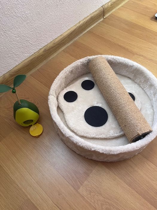 Котешки аксесоари