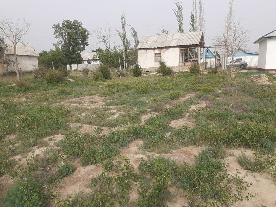 Nishon tumanida Dacha