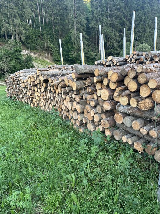 Vând lemn Foc rășinoasă/fag