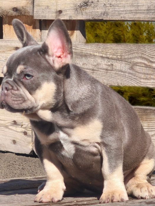 Замечательная девочка