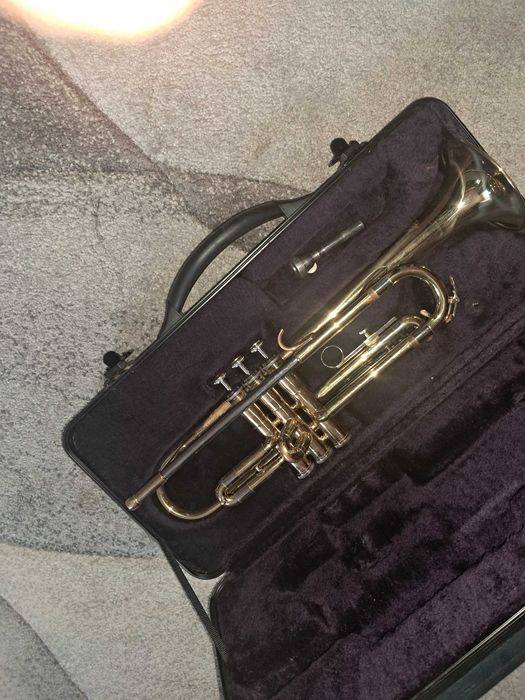 Vand trompeta  pret 300 euro negociabil.cine e interesat sunati la nr de tel 0774276089