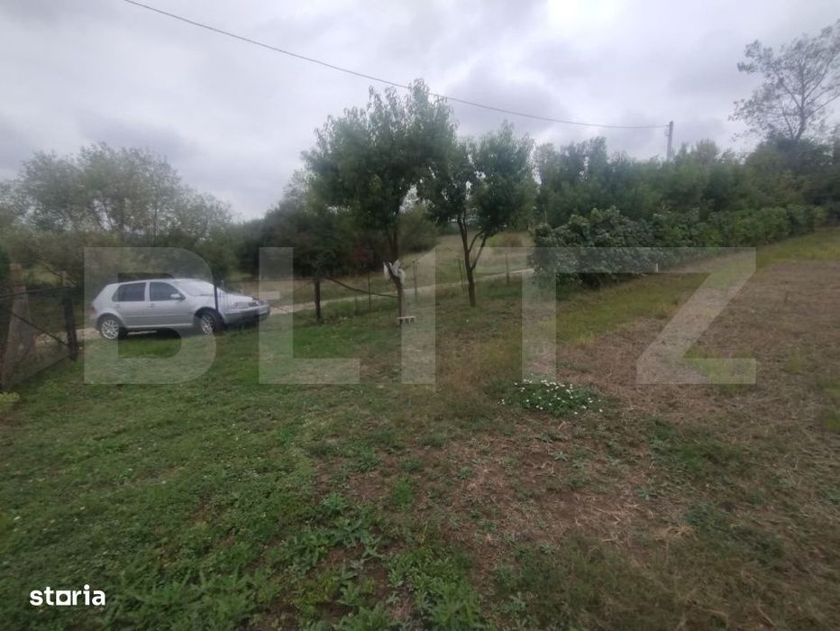 Teren 50 Ari cu Cabana, Utilitati si Livada – Oaza de liniste! Becle