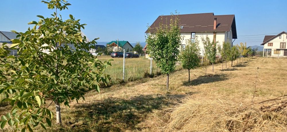 Vand Casa in Berchisesti-SV