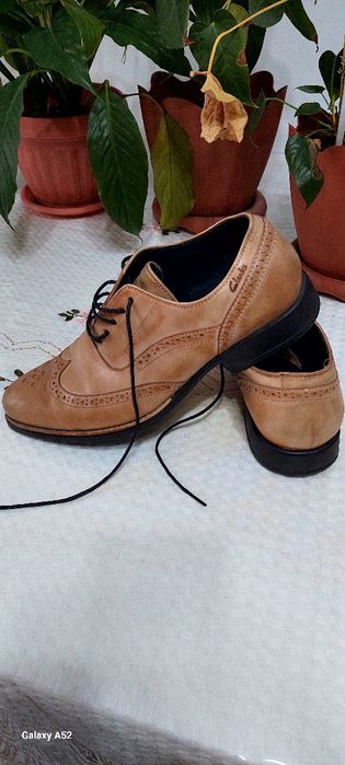 Мужская обувь (туфли)