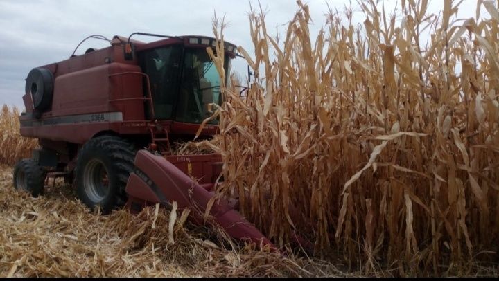 Продам комбайн кейс CASE и трактор мтз 82