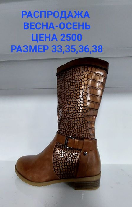 Обувь демисезонные