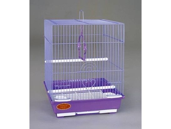 Волнистый попугай