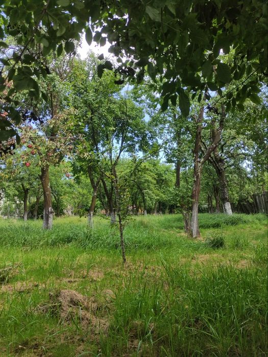 Casă de vânzare .