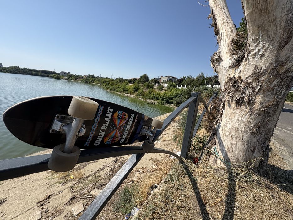 Vand skateboard cruiser Pocket Rocket Arbour