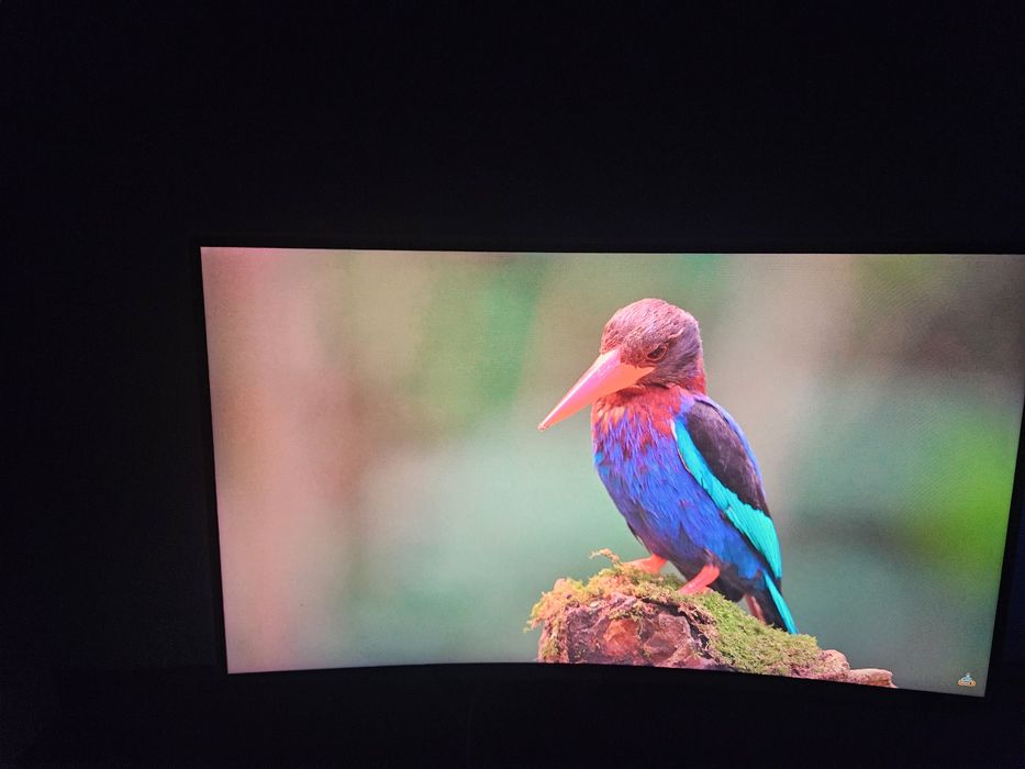 Monitor Gaming 144 hertz