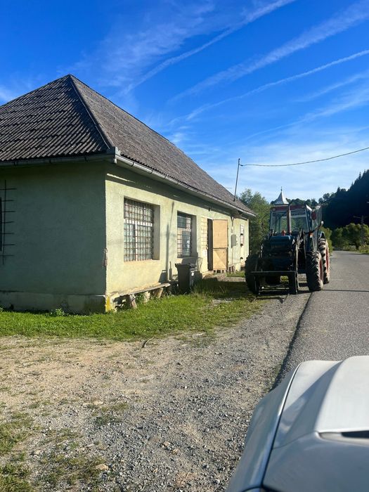 Casa + teren + padure sat Moliset, jud Bistrita Nasaud