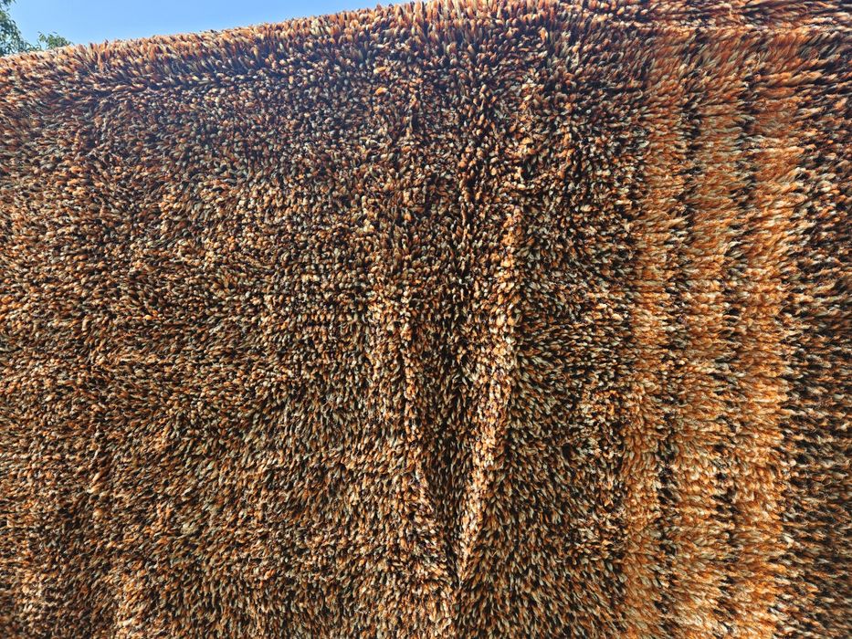 Цветен вълнен китеник