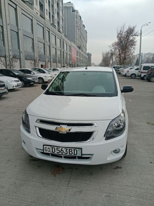 Cobalt mid night toza