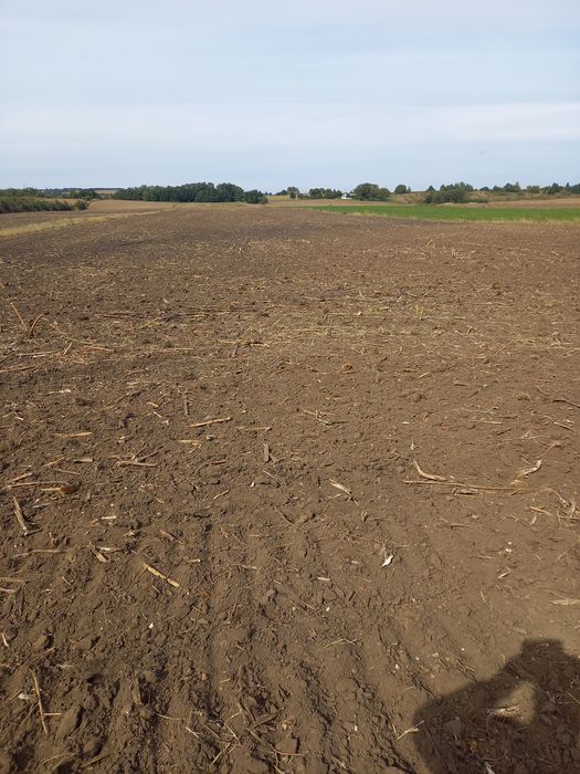 Vand teren 3600 mp  Targul Neamt .