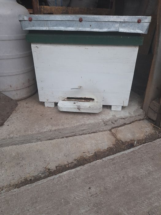 Stupi 12 rame pat rece