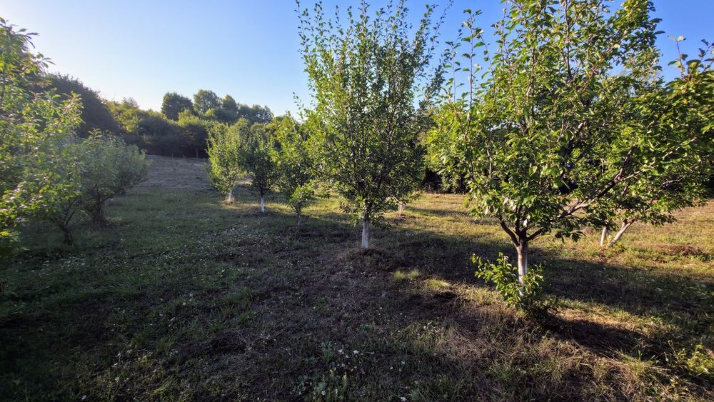 Продават се 7 парцела в кв. Църква, гр. Перник