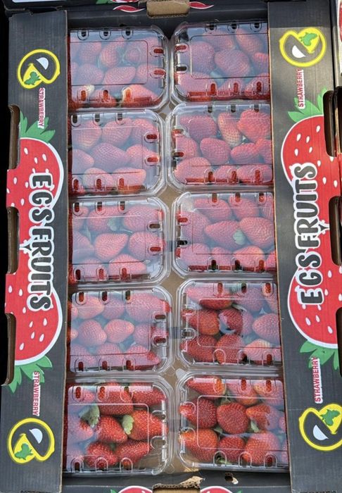 Клубника египет