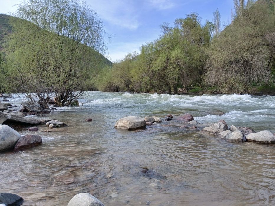 Такси в горы из Ташкента