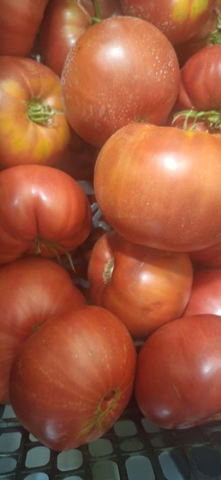 Продавам Розови домати