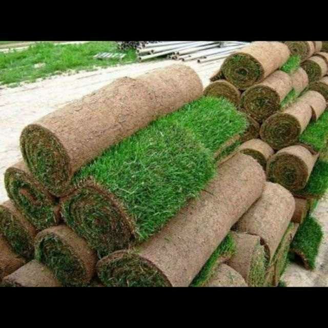 Услуги сантехника и ландшафт газона