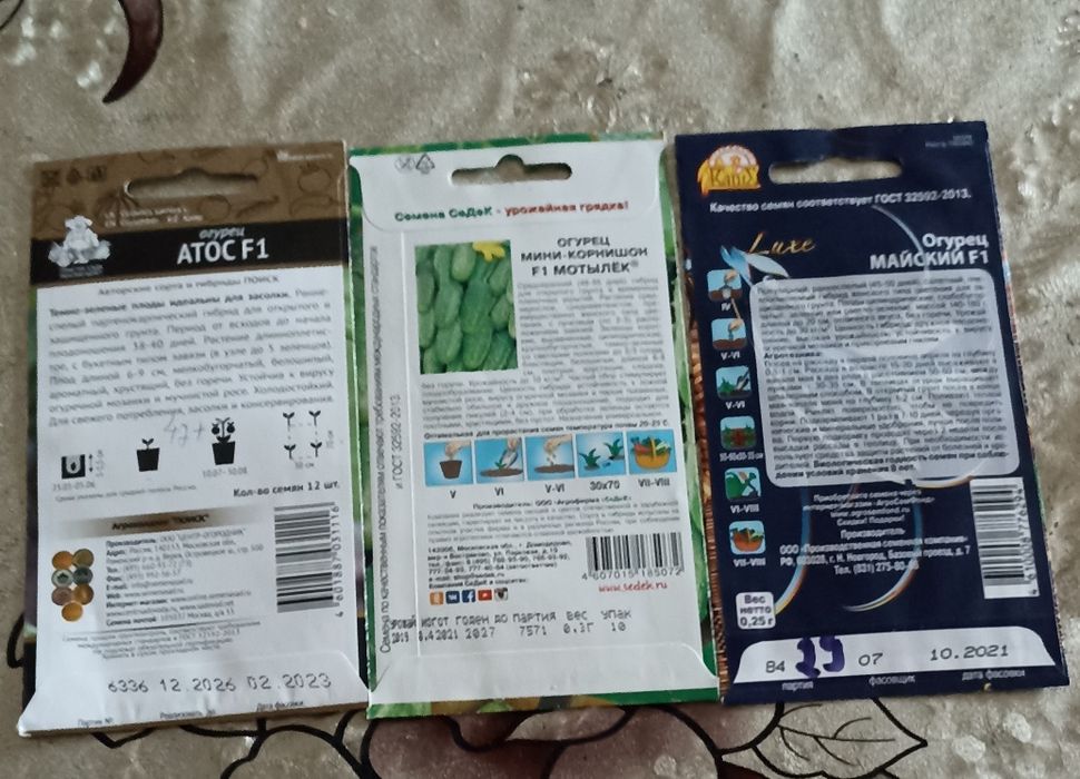 Бодиринг уруглари сотилади