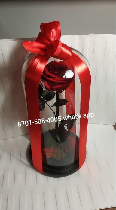 Супер-Подарок! Тренд сезона! Роза в колбе- оригинал!