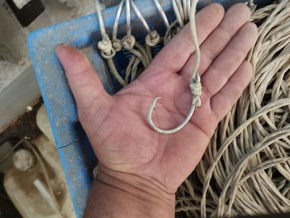 Крючки на сома ,попугай