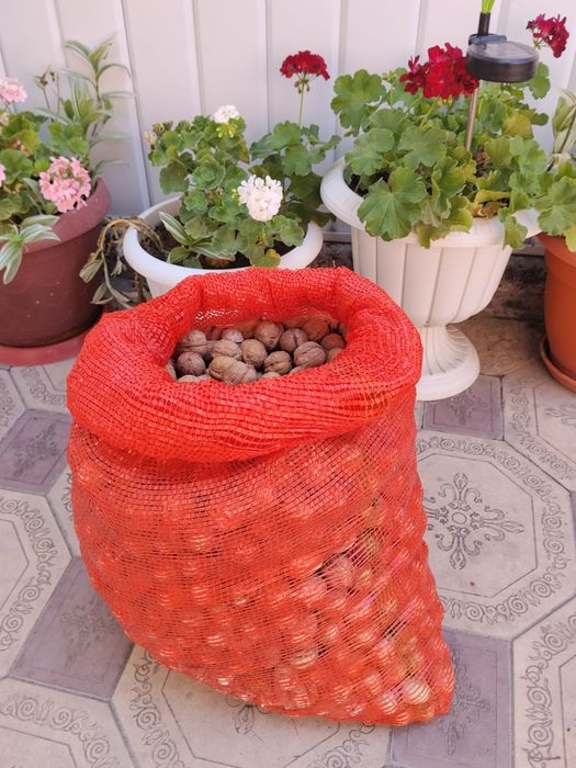 Продам грецкий орех недорого