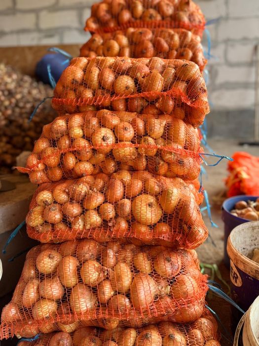 Vând  ceapă Stuttgart