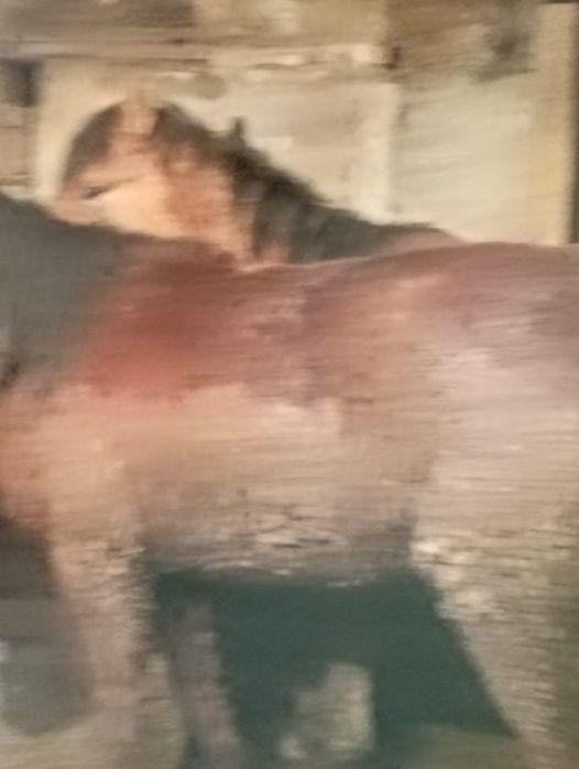 Тайлар на согым с откорма