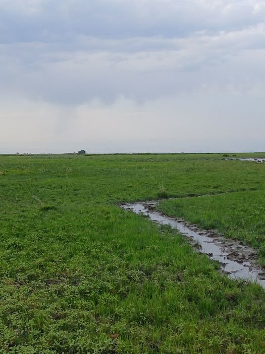 ФАЗЕНДА сатылады