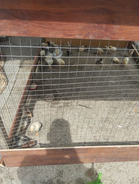 түсіп береміз өтте жақсы балапандар