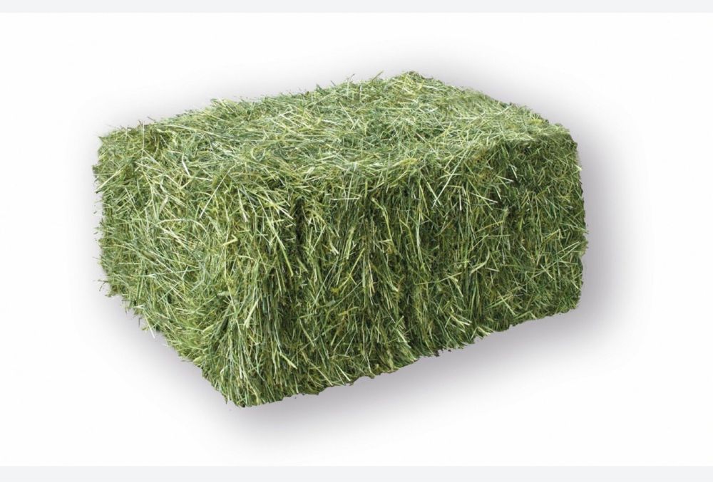 Беда прес сомон прес сотилади