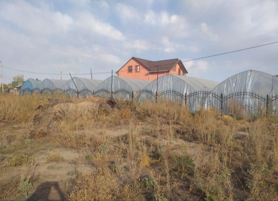 Теплица 10 соток