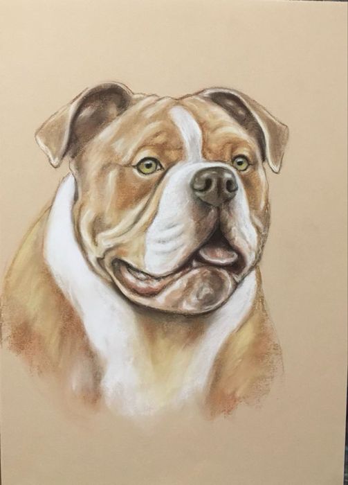 Портрети по снимка