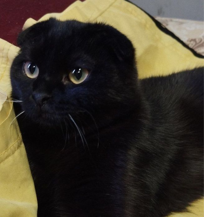 Мальчик ждет свою семью!